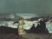 Winslow Homer A Summer Night (san39) oil painting picture wholesale